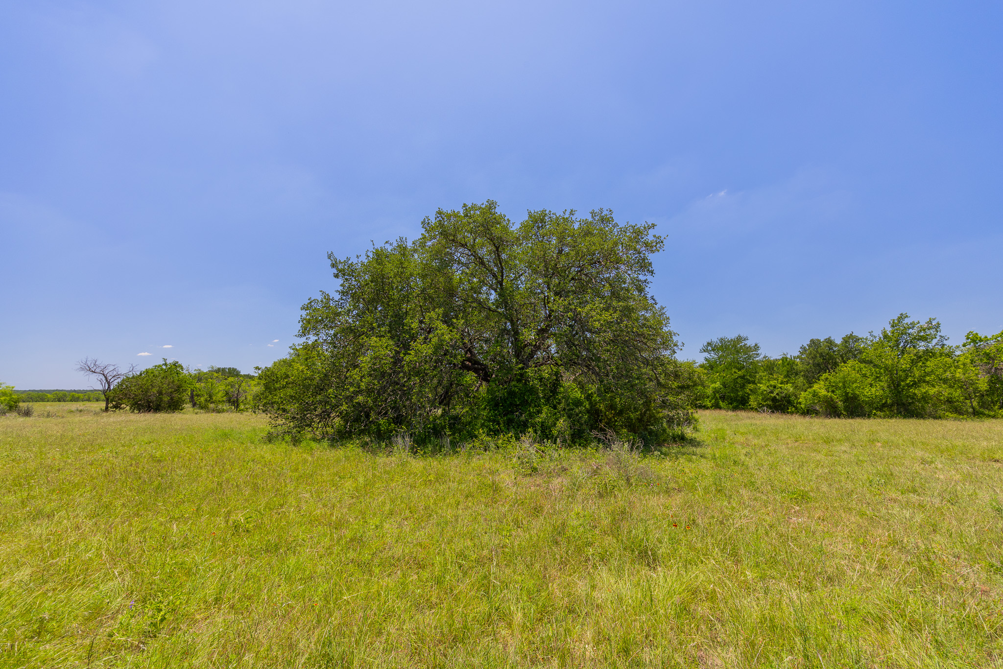 180 72 Ac Road Purmela, TX 76566 - Photo 27 of 33