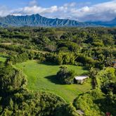 a view of a lush green field with an ocean view