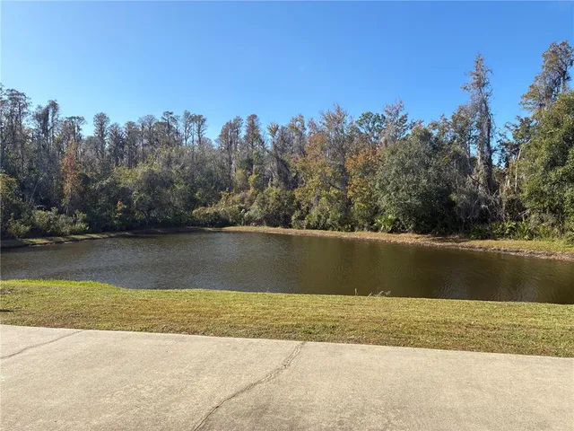 $2,600 | 31318 Heatherstone Drive, Wesley Chapel, FL 33543