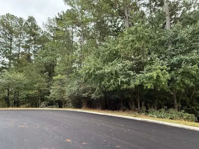 a view of a yard with a trees