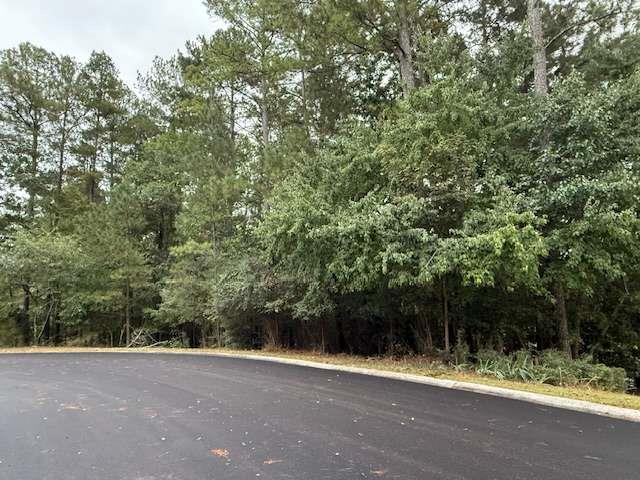 0 Camelot Circle Southeast Rome, GA 30161 - Photo 3 of 10 a view of a yard with a trees