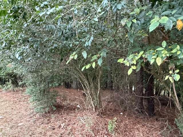 0 Camelot Circle Southeast Rome, GA 30161 - Photo 7 of 10 a view of a forest with trees in the background