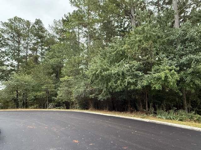 0 Camelot Circle Southeast Rome, GA 30161 - Photo 8 of 10 a view of a yard with a tree