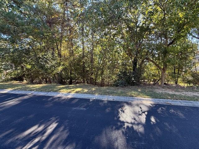 0 Camelot Circle Southeast Rome, GA 30161 - Photo 10 of 10 a view of a yard with wooden fence