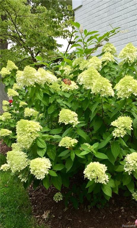 677 Shoreham Road Grosse Pointe Woods, MI 48236 - Photo 13 of 32