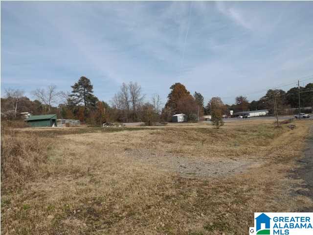 75 Highway 75, Unit 13 & 15 Oneonta, AL 35121 - Photo 5 of 13