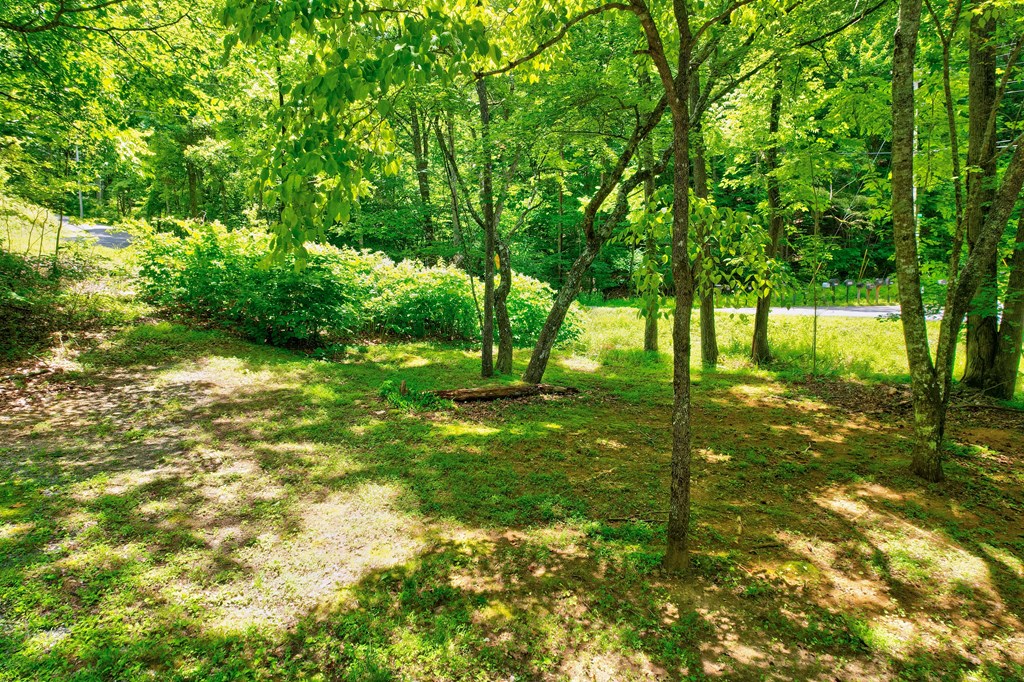 201 Sunrock Mountain Trail Blue Ridge, GA 30513 - Photo 15 of 53 Gallery Image 15