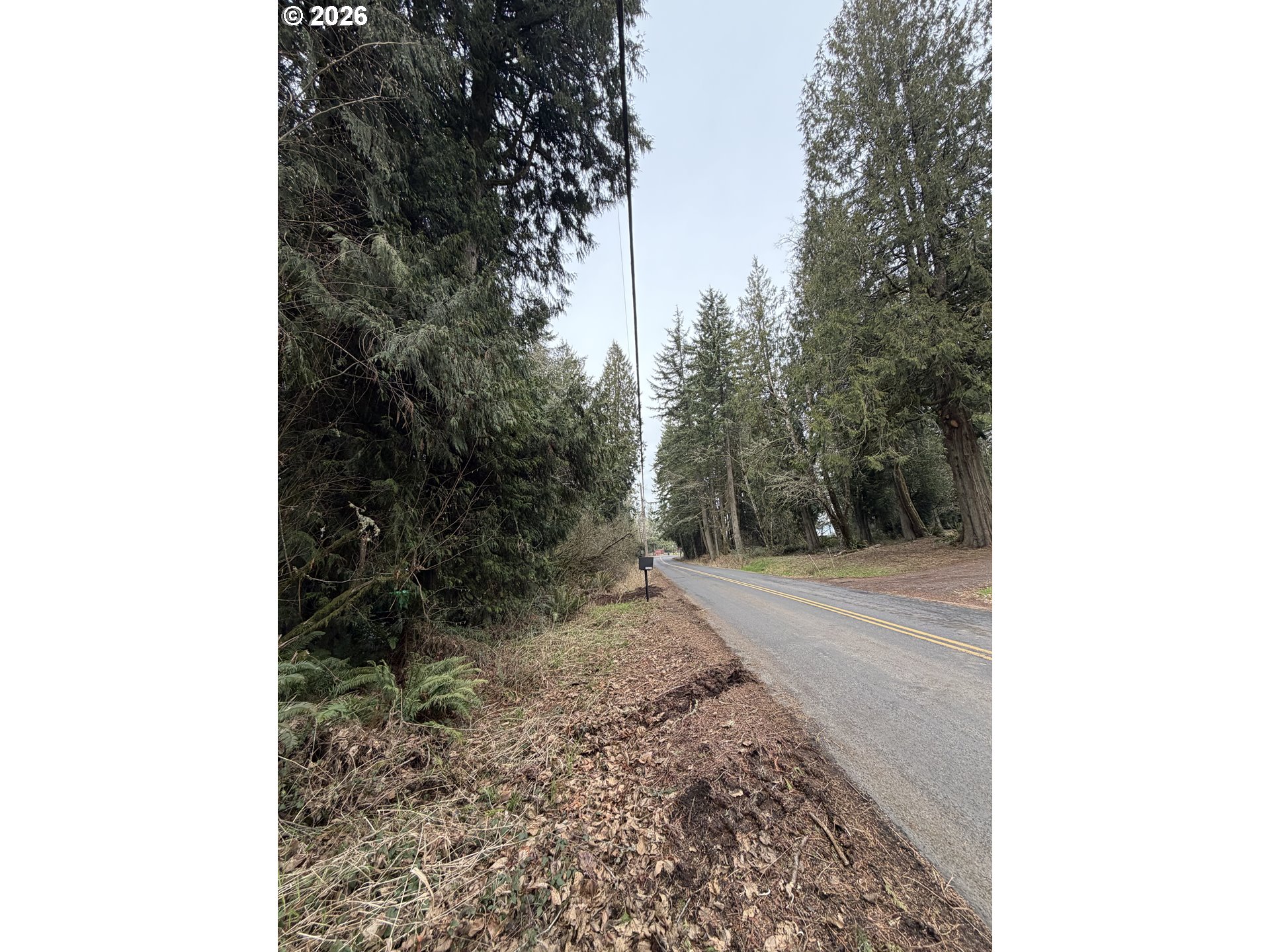 Meserve Road Rainier, OR 97048 - Photo 5 of 16