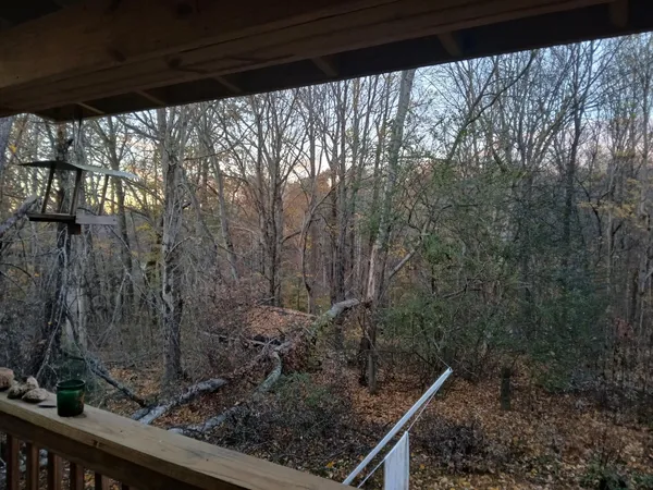a view of a backyard with a barn and large trees