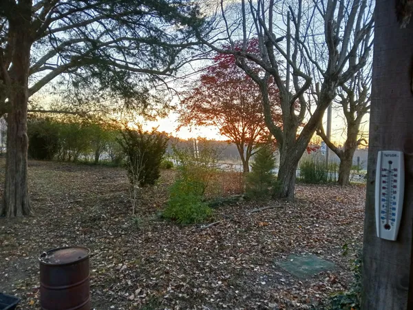 a view of a outdoor space