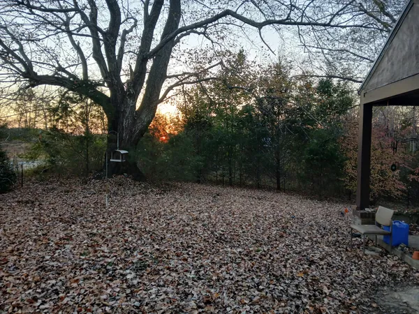a big yard with lots of green space