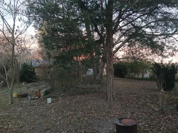 a view of a wooden bridge