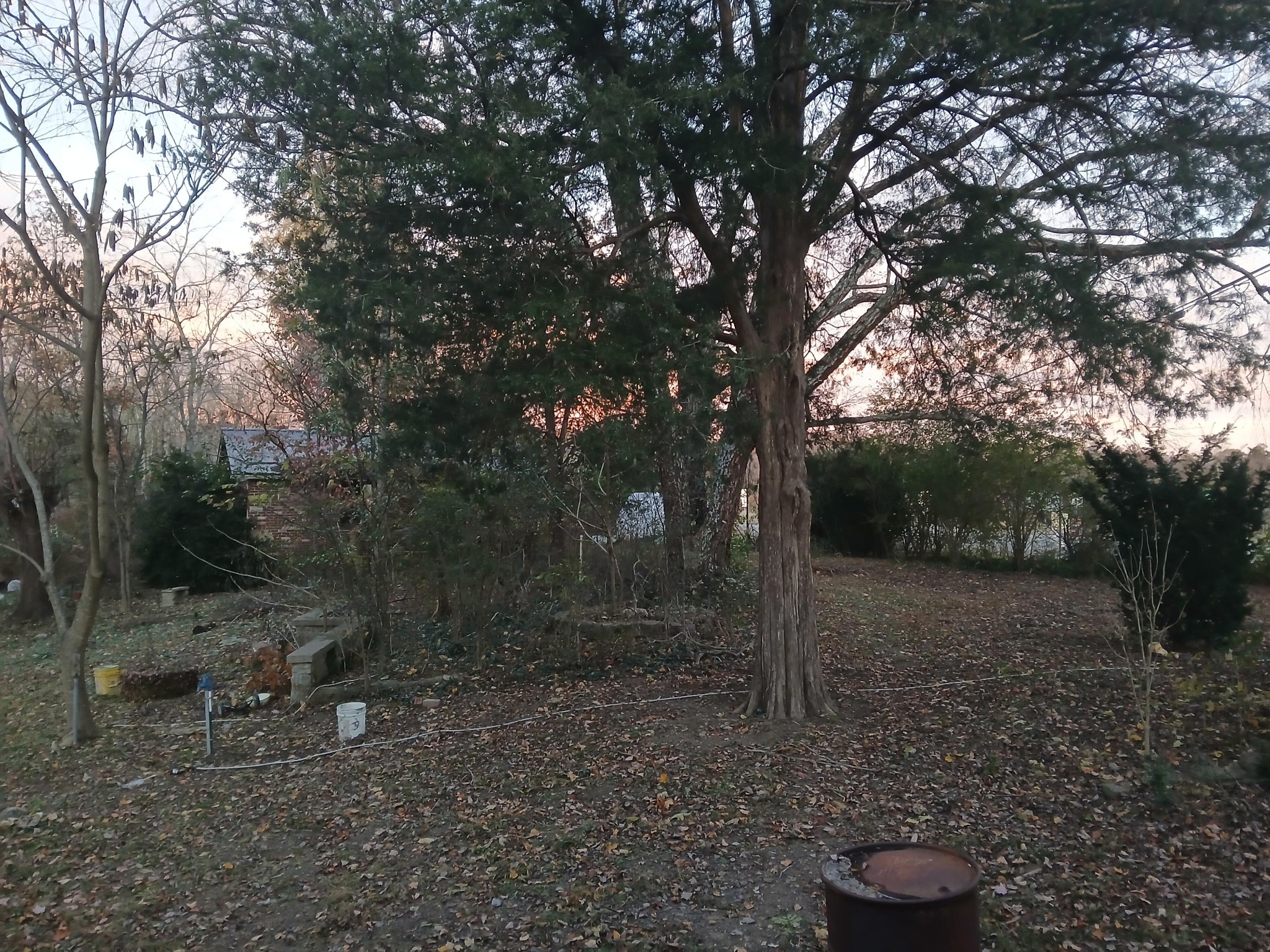 652 Gamaliel Road Red Boiling Springs, TN 37150 - Photo 9 of 19
