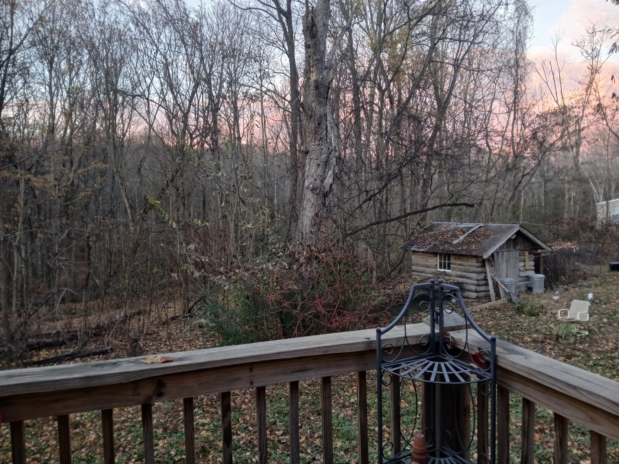 652 Gamaliel Road Red Boiling Springs, TN 37150 - Photo 10 of 19