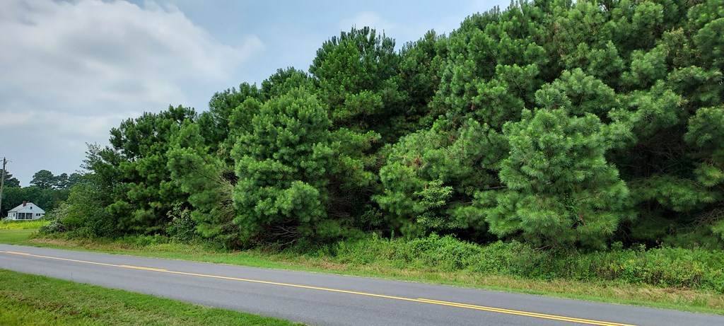 Lot 7 Bradfords Neck Road, Unit 7 Melfa, VA 23410 - Photo 5 of 5