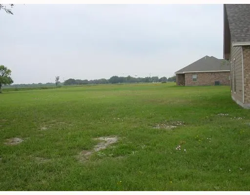 a view of a garden and mountains