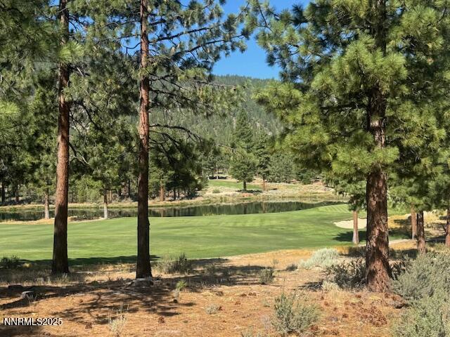 193 Redding Way, Unit 257 Carson City, NV 89705 - Photo 2 of 39 a view of a garden with a tree