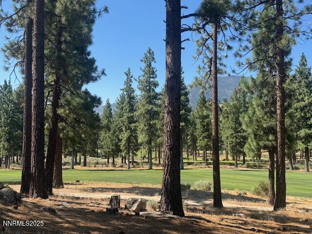 193 Redding Way, Unit 257 Carson City, NV 89705 - Photo 3 of 39 a view of a yard with large trees