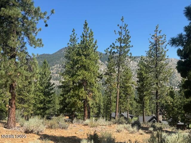 193 Redding Way, Unit 257 Carson City, NV 89705 - Photo 5 of 39 a view of a forest with trees in the background
