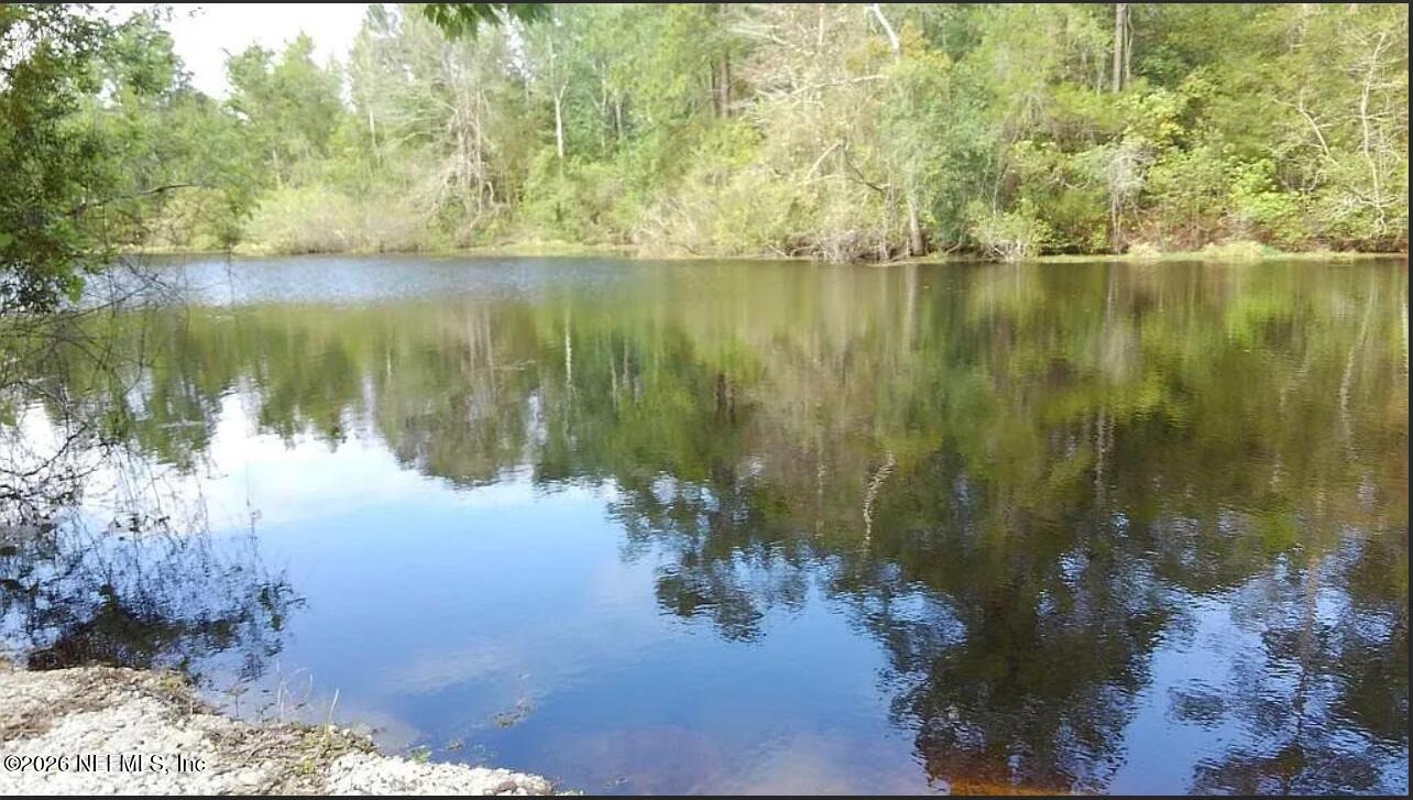 7617 Reed Street Jacksonville, FL 32208 - Photo 27 of 27 Lake pic 2