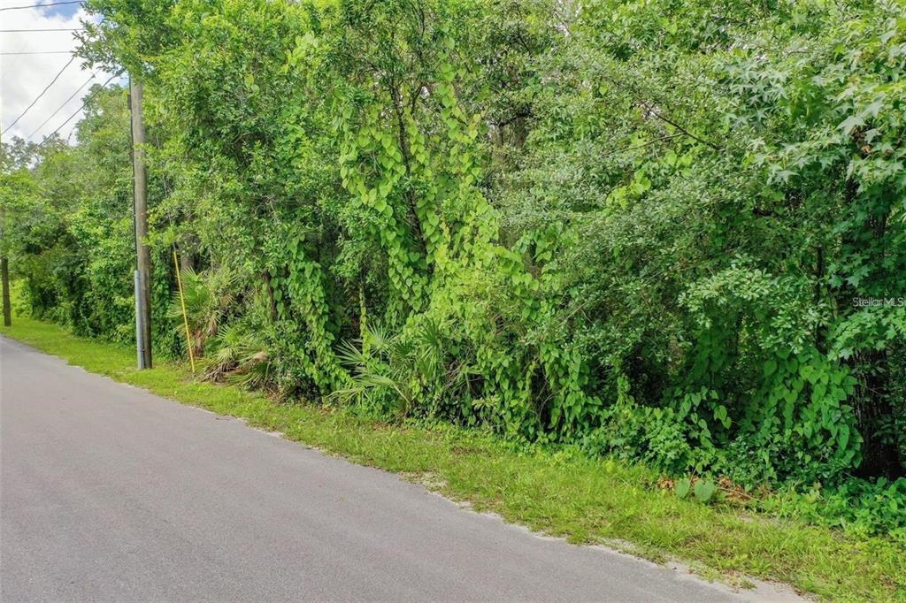 848 Hamilton Drive Orlando, FL 32833 - Photo 3 of 9 a view of a yard with plants and a small yard