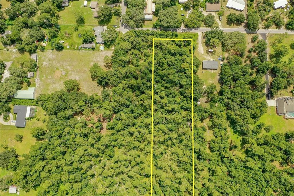 848 Hamilton Drive Orlando, FL 32833 - Photo 6 of 9 a view of a garden with a house