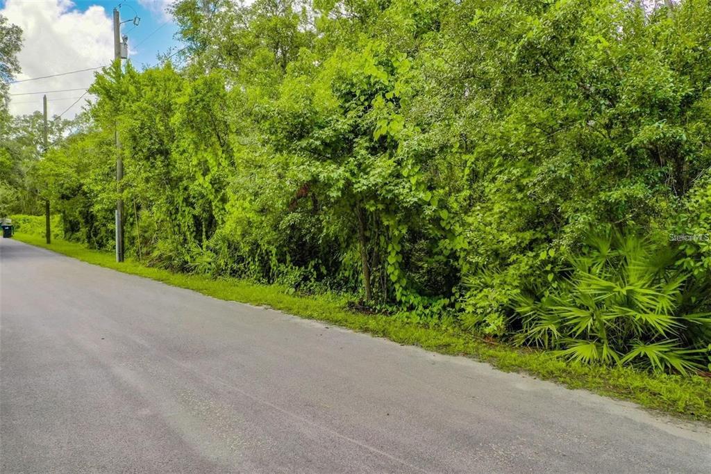 848 Hamilton Drive Orlando, FL 32833 - Photo 9 of 9 a view of a yard with a plant