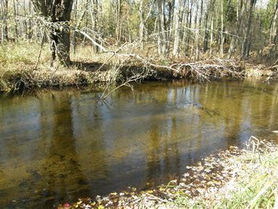 Saari Road Bear Lake, MI 49614 - Photo 1 of 14 Primary Photo