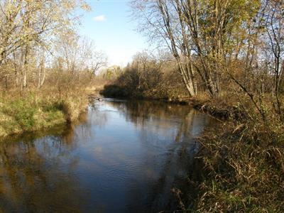 Saari Road Bear Lake, MI 49614 - Photo 4 of 14 Additional Photo
