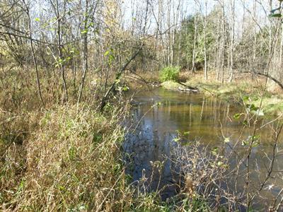 Saari Road Bear Lake, MI 49614 - Photo 5 of 14 Additional Photo