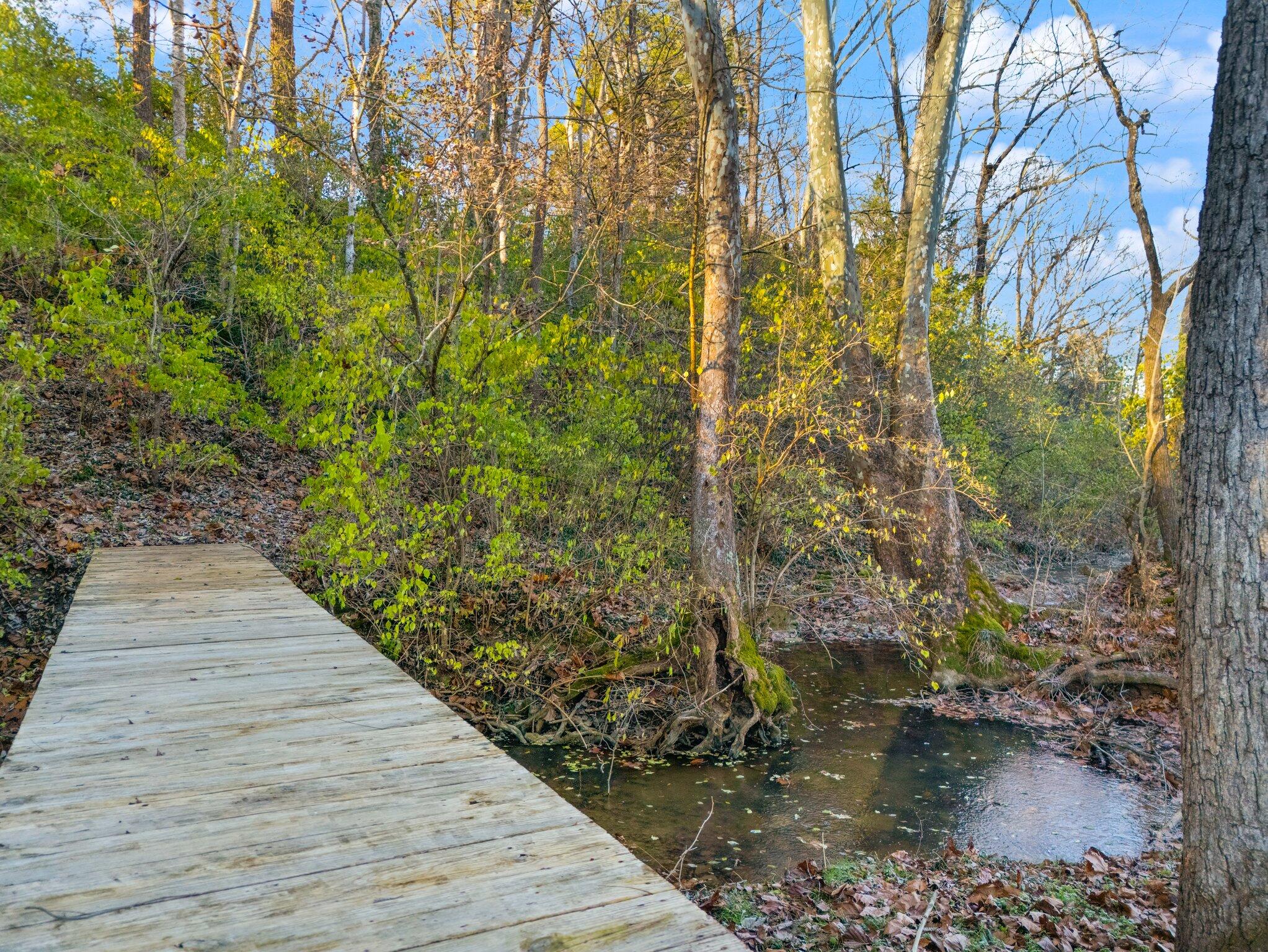 320 Ridgeview Drive Berea, KY 40403 - Photo 59 of 76 60-web-or-mls-DJI_20241207085505_0045_D