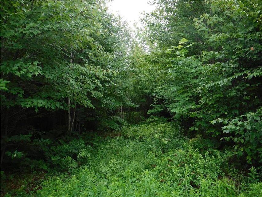 R1-37b O'Dell Road New Sharon, ME 04955 - Photo 14 of 32 20220127143311347345000000-o