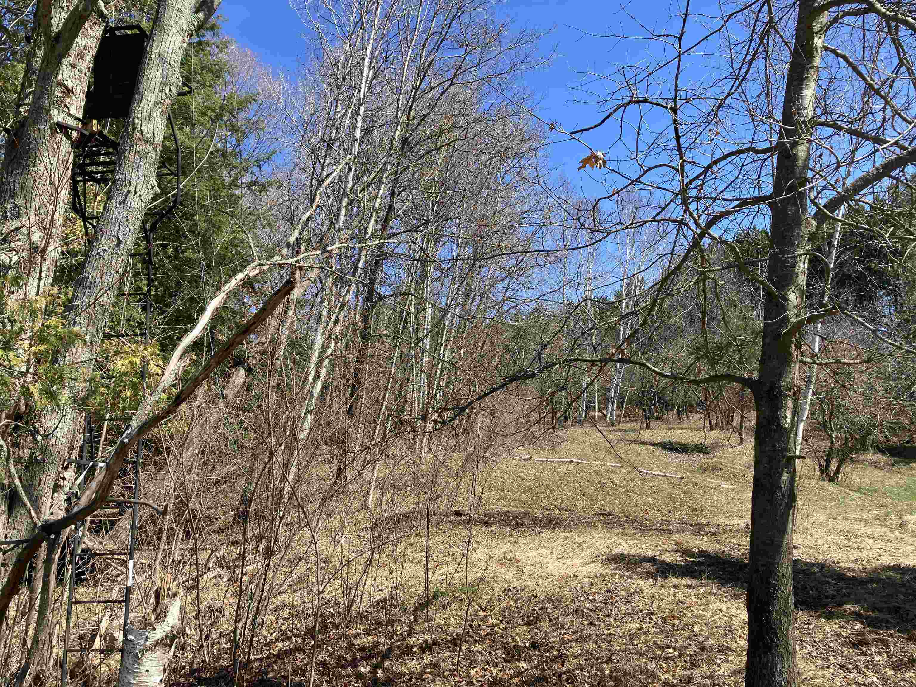 3450 Reasner Road Rose City, MI 48654 - Photo 18 of 87