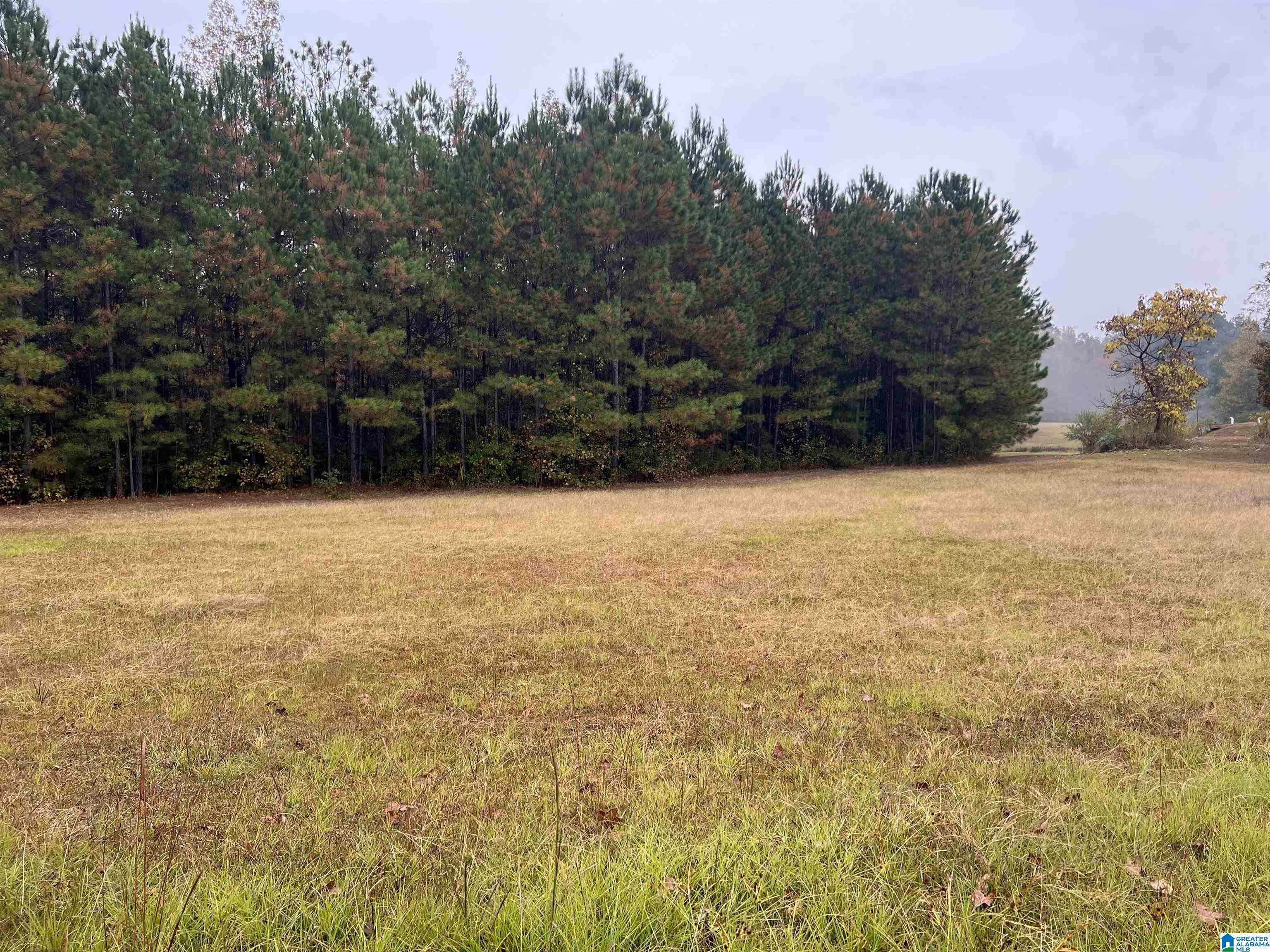 1492 Websters Chapel Road Wellington, AL 36279 - Photo 3 of 3