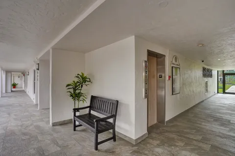 a view of an entryway with wooden floor and a potted plant