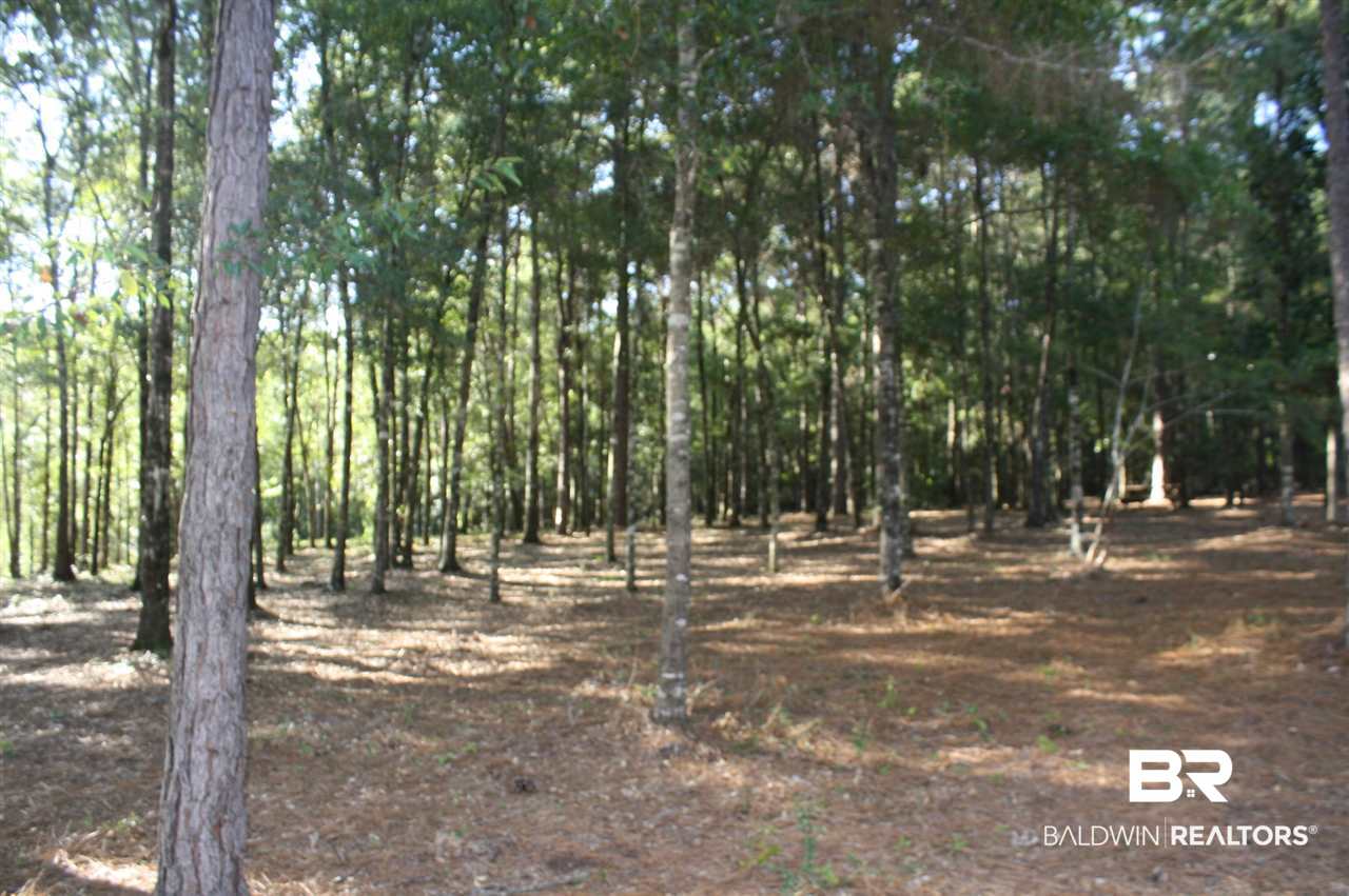 43 Shady Lane Hope Hull, AL 36043 - Photo 12 of 19