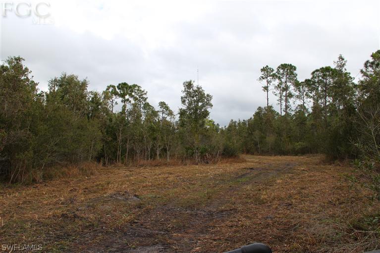 41480 Horseshoe Road Punta Gorda, FL 33982 - Photo 1 of 14 Gallery Image 1