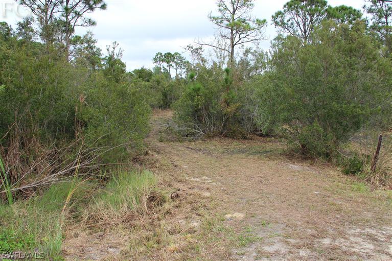 41480 Horseshoe Road Punta Gorda, FL 33982 - Photo 3 of 14 Gallery Image 3