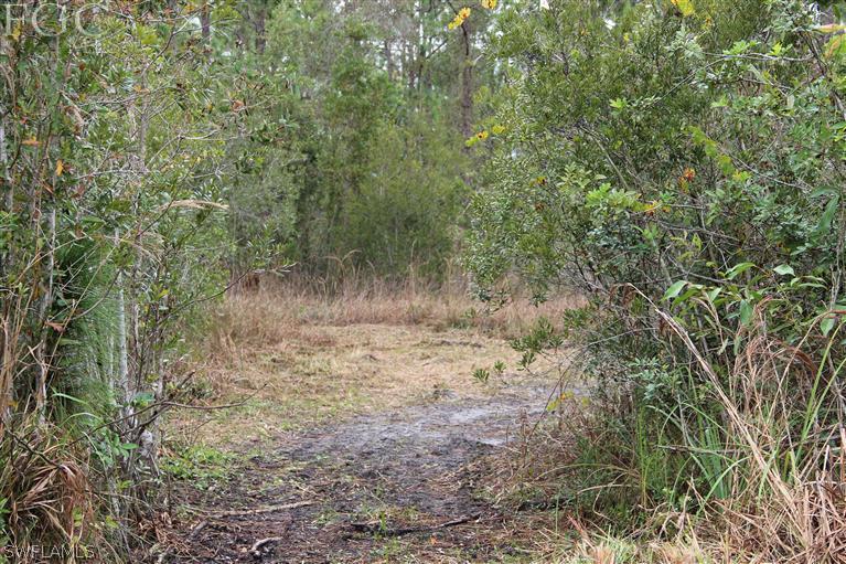 41480 Horseshoe Road Punta Gorda, FL 33982 - Photo 7 of 14 Gallery Image 7