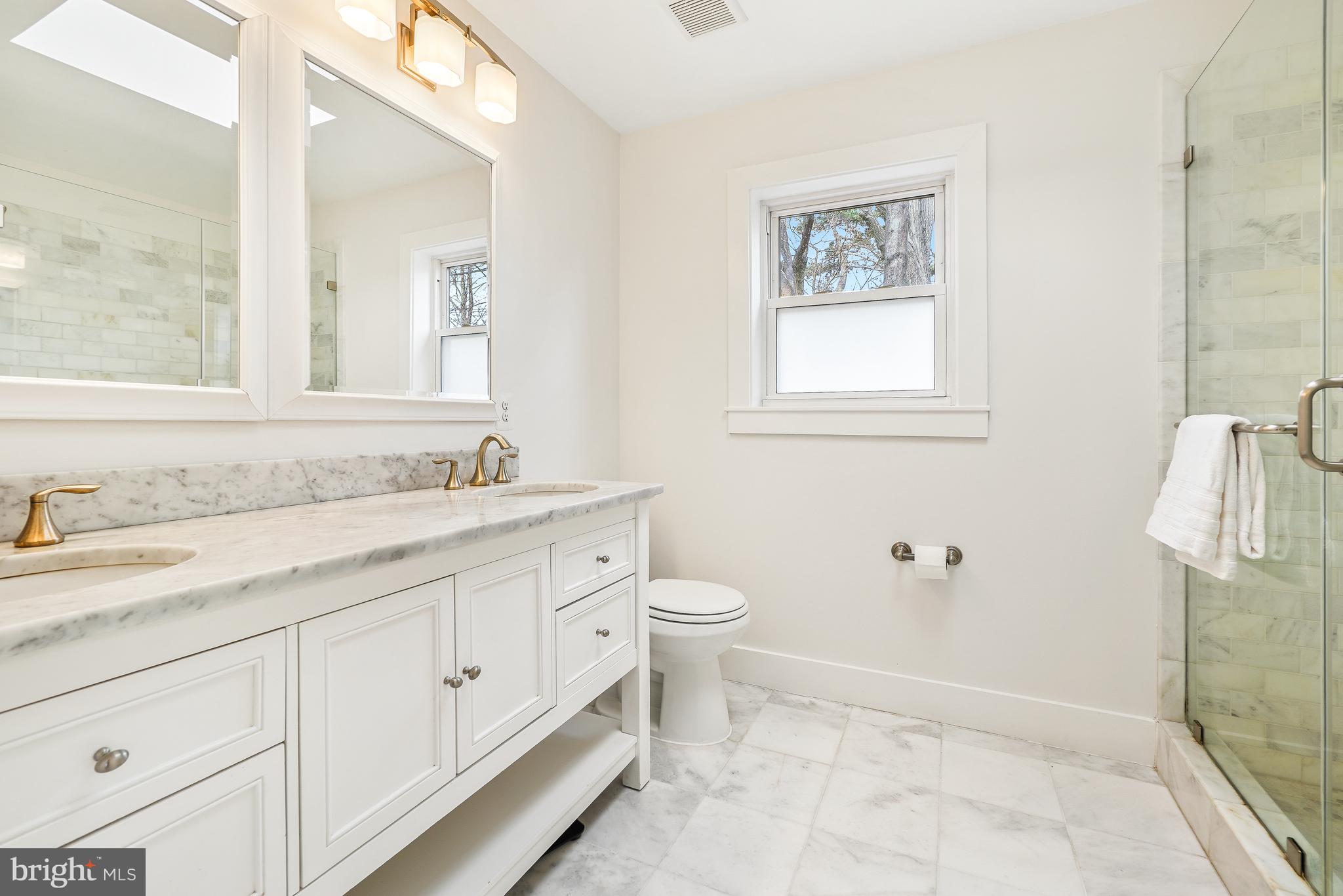 113 Webster Street Northwest Washington, DC 20011 - Photo 18 of 36 Primary ensuite bath with double vanity & skylight