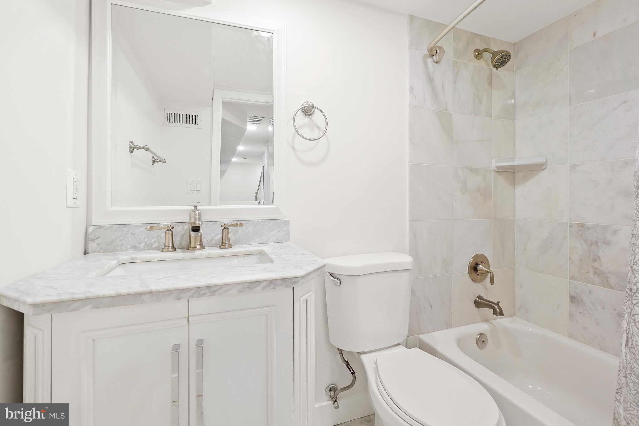 113 Webster Street Northwest Washington, DC 20011 - Photo 28 of 36 Lower level (3rd) full bathroom