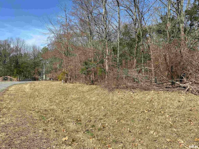 a view of a yard with trees