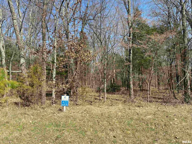 a view of open space with trees