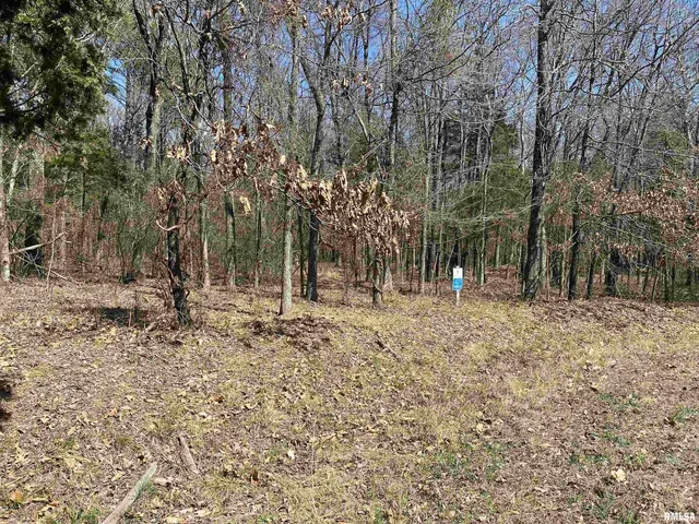 a view of outdoor space with trees