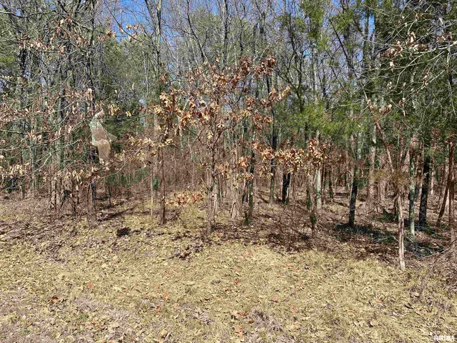 a view of wooden fence