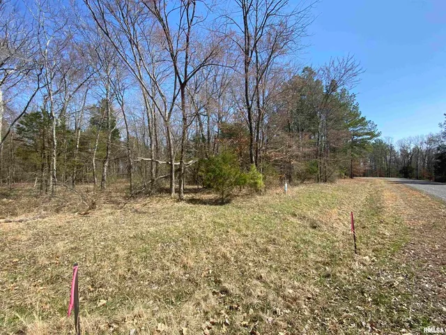 a backyard of a house with large trees