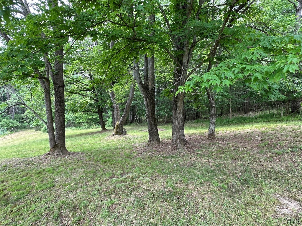 2 Red Oak Drive Olean Town, NY 14760 - Photo 48 of 49