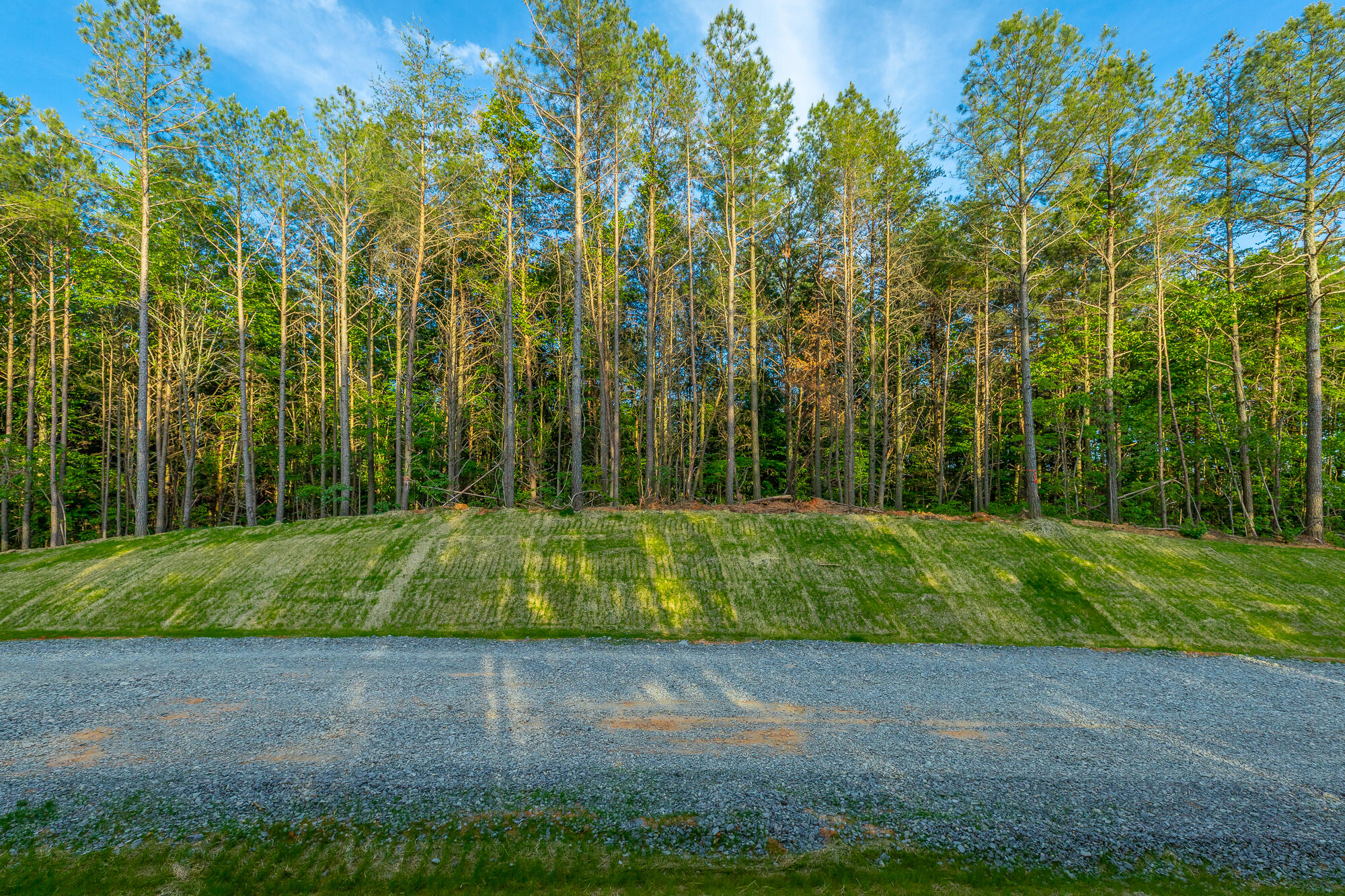 0 Cannon Way, Unit LOT 1317 Guild, TN 37340 - Photo 6 of 99 0 Cannon Way - Lot 1317 HD-50