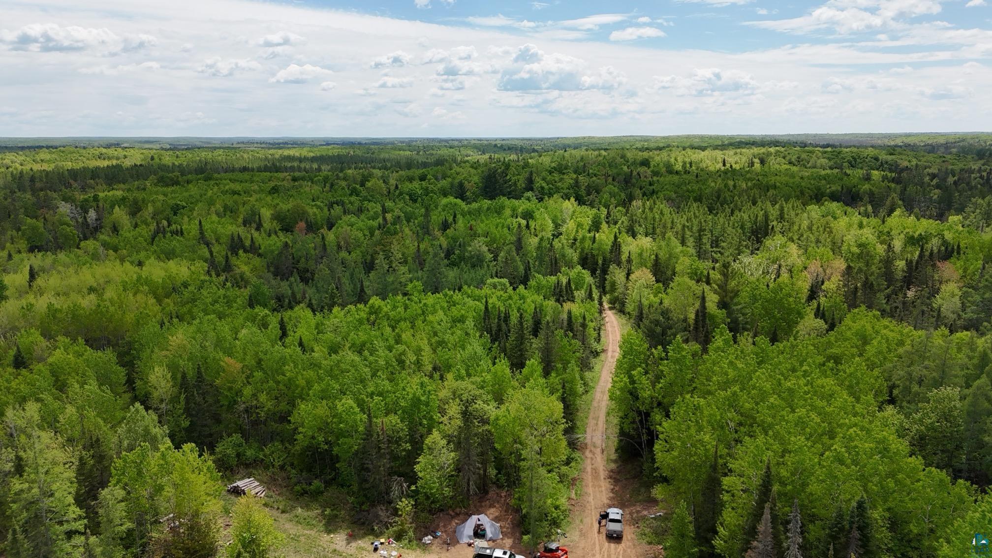 119-acres Near 119-acres Near Mertig Road Glidden, WI 54527 - Photo 2 of 8 Bird's eye view of a forest