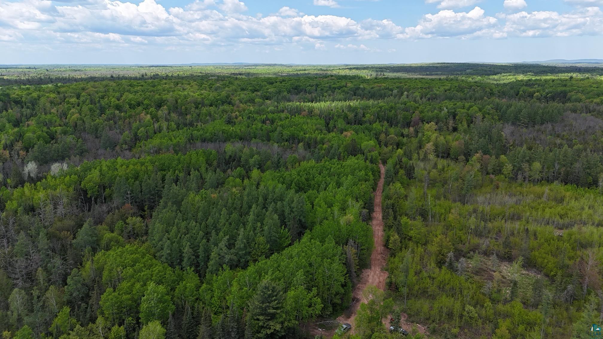 119-acres Near 119-acres Near Mertig Road Glidden, WI 54527 - Photo 3 of 8 Bird's eye view of a forest